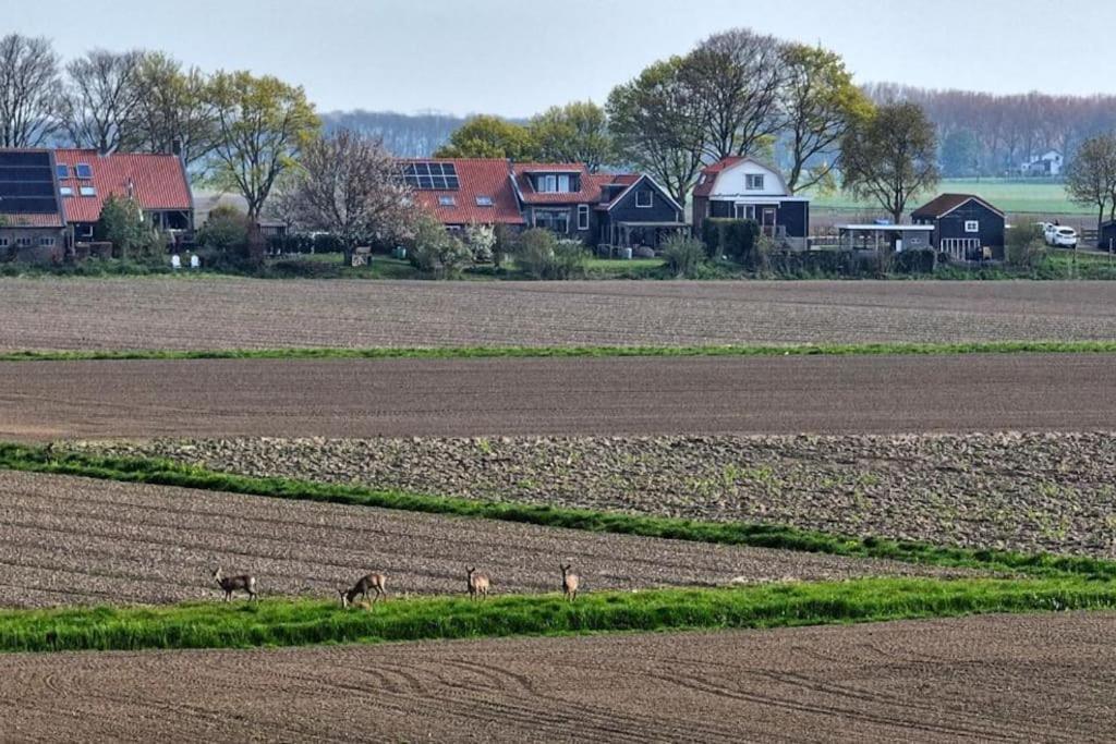 Luxe Vakantiehuis In Dijkboerderij Zuid-Beijerland Екстер'єр фото