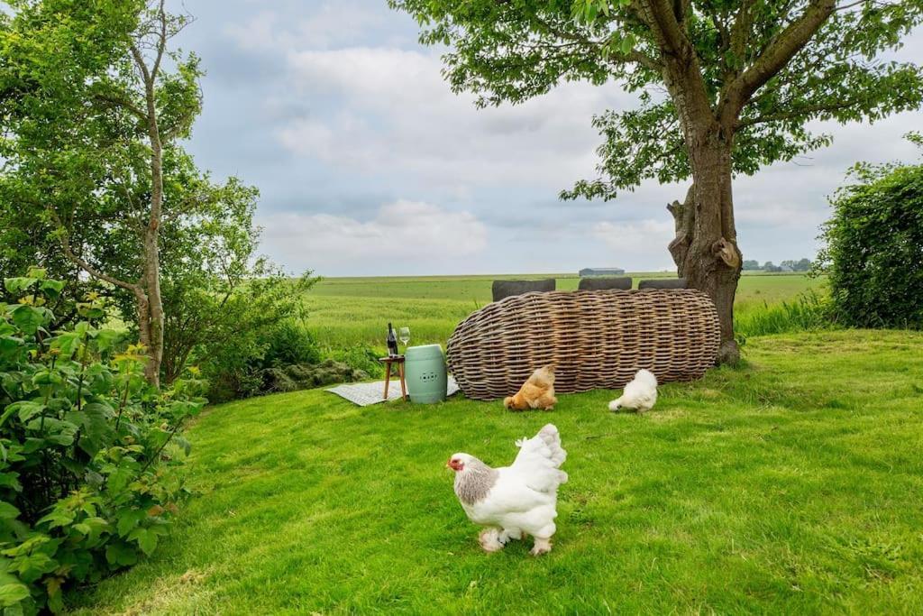 Luxe Vakantiehuis In Dijkboerderij Zuid-Beijerland Екстер'єр фото